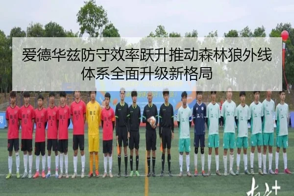 爱德华兹防守效率跃升推动森林狼外线体系全面升级新格局
